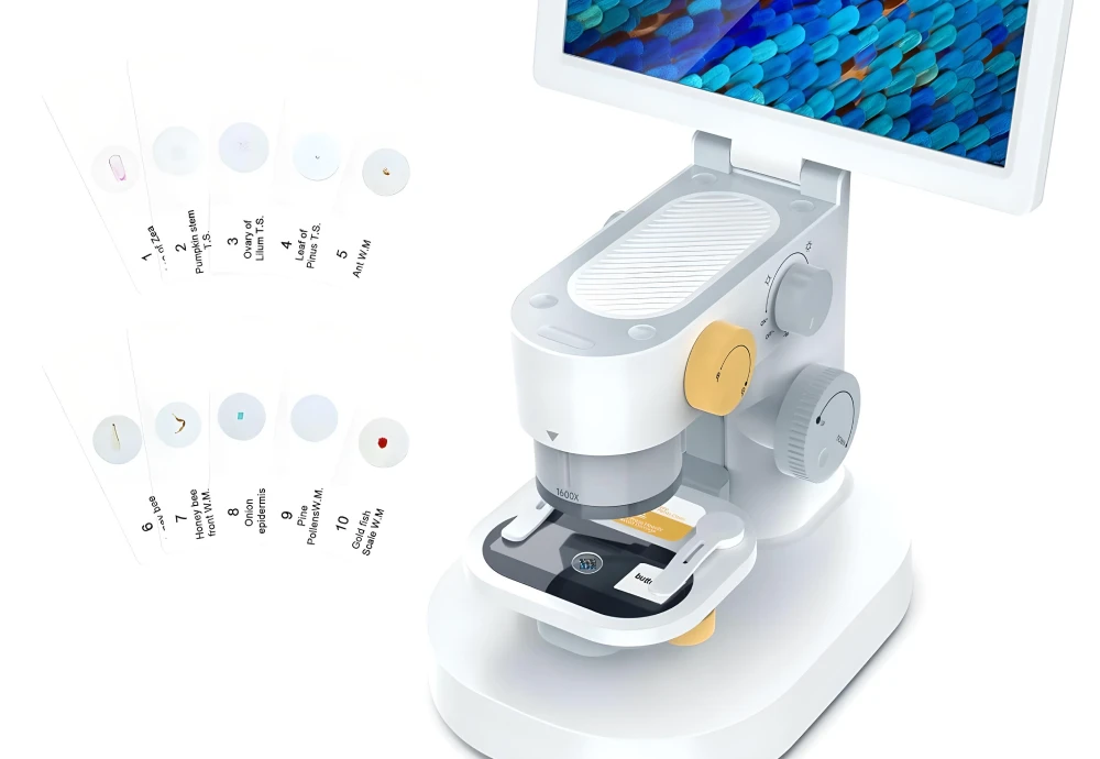 what microscope to buy