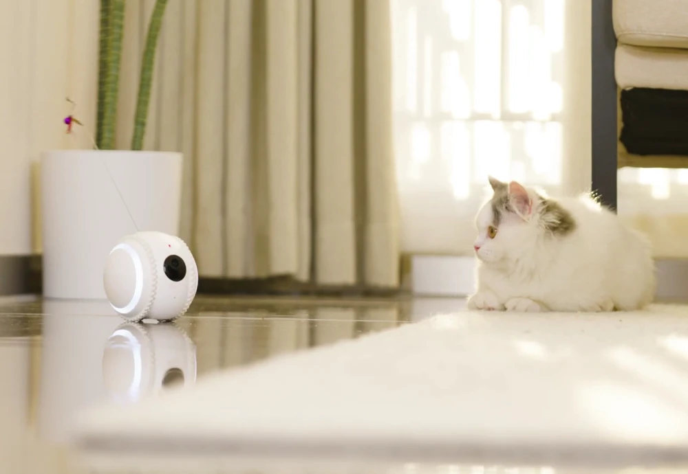 home pet camera