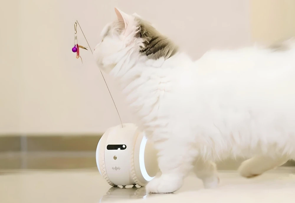 home pet camera