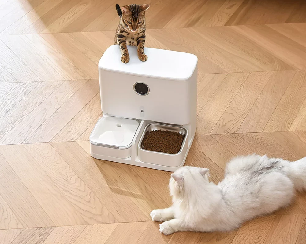 pet water and food dispenser