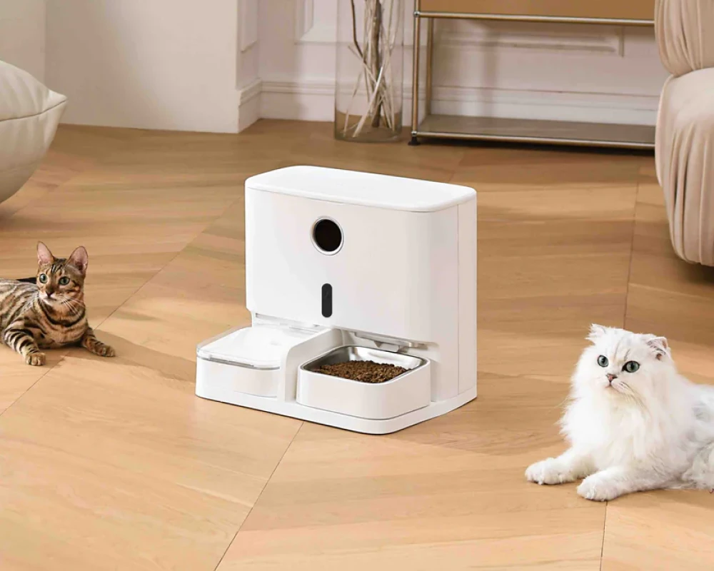 automatic pet feeder multiple cats