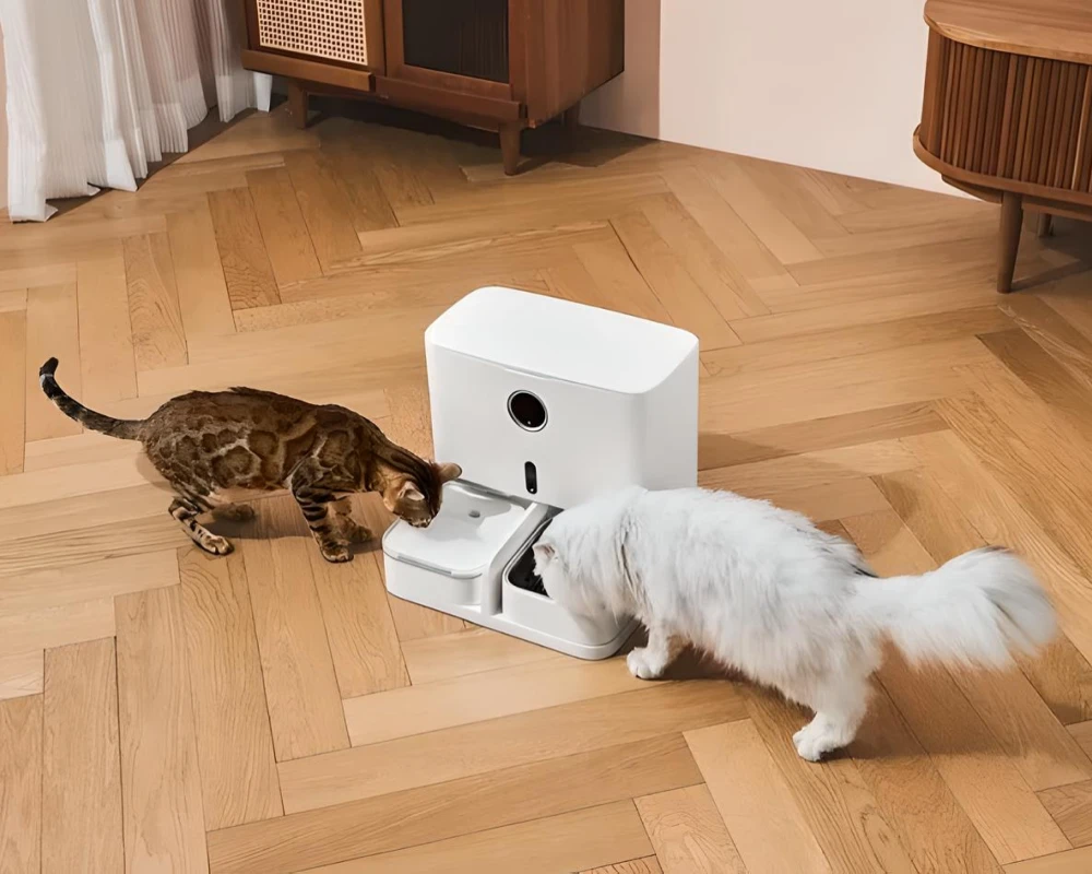 pets automatic feeder